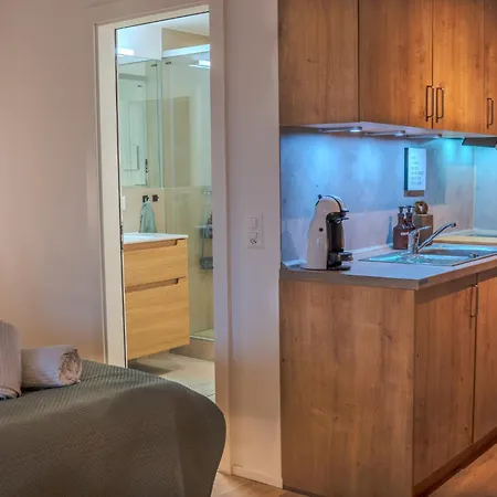 De Luxe Au Coeur De 빌라쉬르올롱